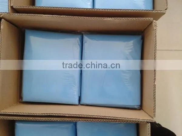 PP disposable Pillows case