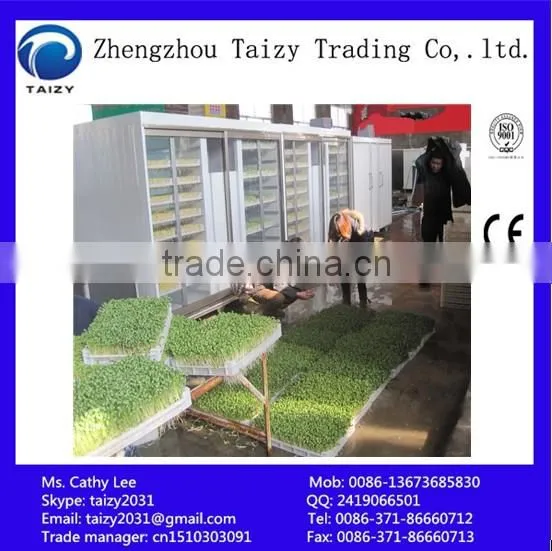 Green bean sprout making machine/machinery/maker