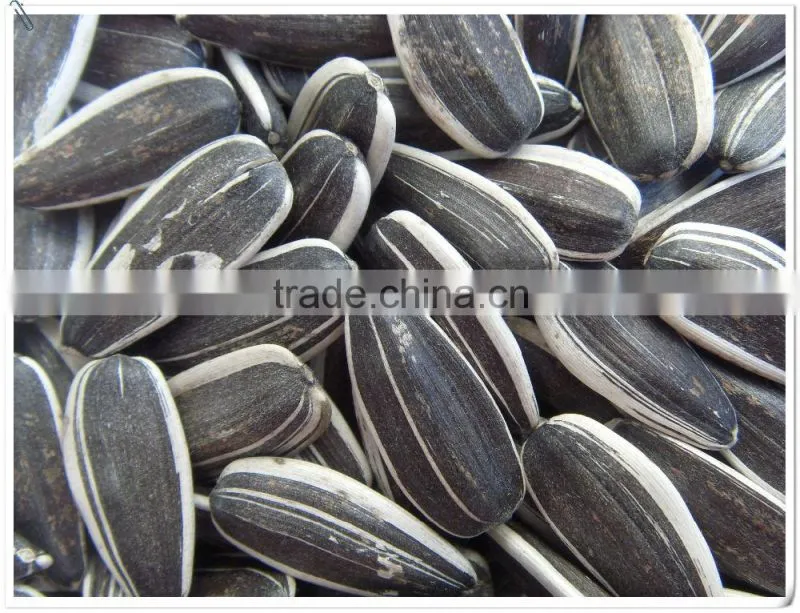 sunflower seeds 0409 market price