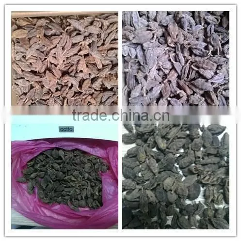 spices and herbs, new crop black cardamom with best price