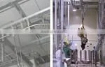 donkey slaughterhouse line donkey Pneumatic (Air-operated drive) Lifting Platform, Pneumatic Elevator donkey slaughter line
