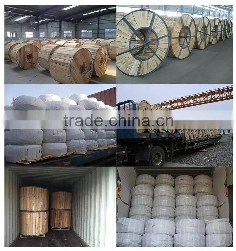 Aluminum /XLPE/PVC Conductor aluminum 8000 Concentrico 2x10mm2