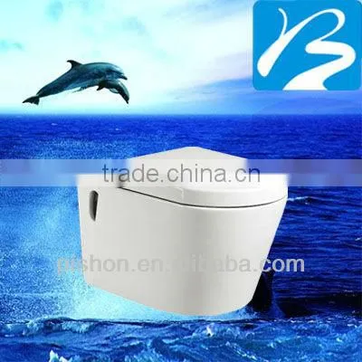 China Export Western Style dual flush Wall Mounted Toilet