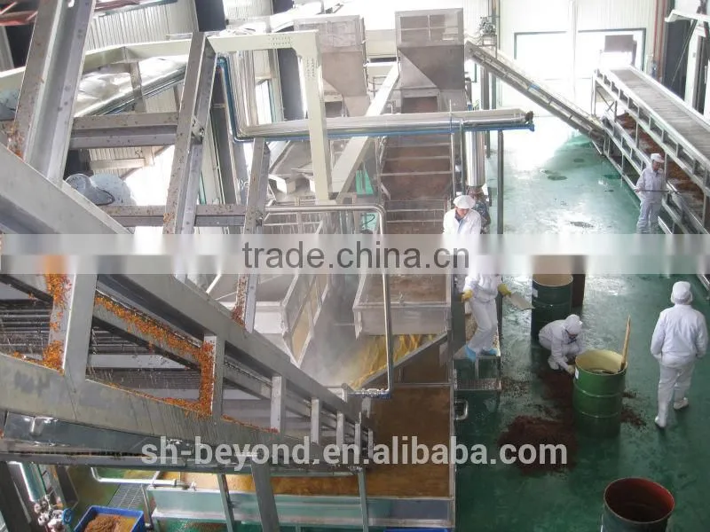 Sea Buckthorn fruit juice processing line