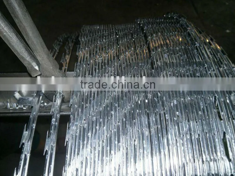 barbed concertina wire / razor sharp wire/ factory in China