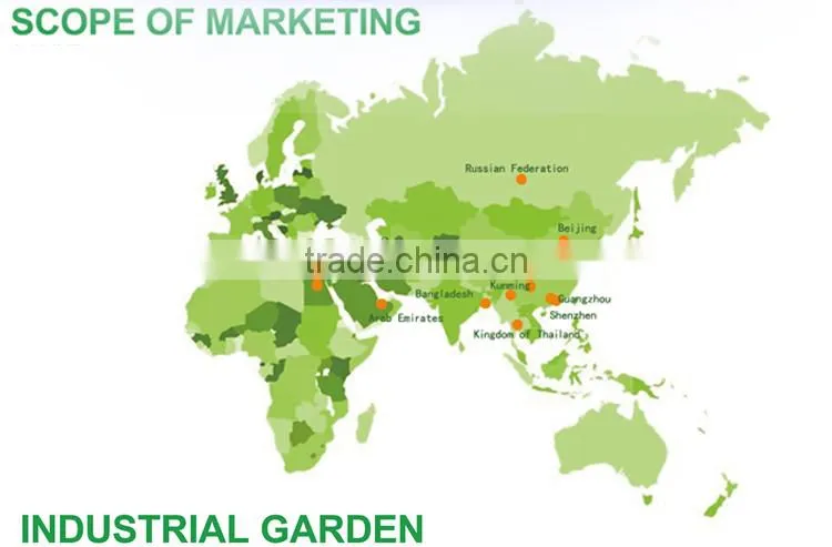 2016 New crop New season Huaniu apple Fresh apple China Gansu Tianshui Huaniu apple