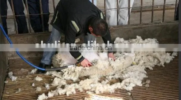 sheep wool shear machine/sheep shearing machine