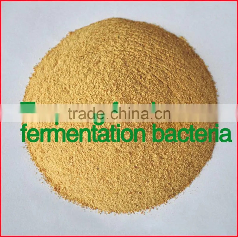 ZYM-F17 trepang feed fermentation bacteria