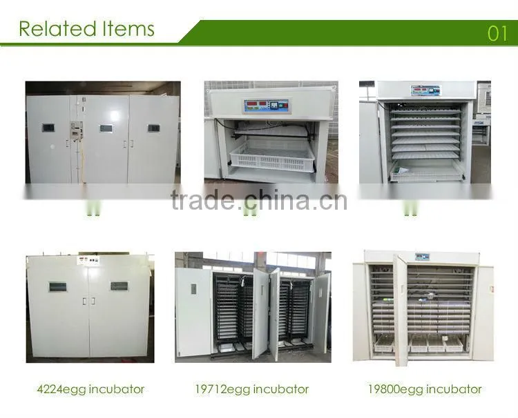 ISO 9001 Factory YBSD Automatic Large Capacity Portable Egg Incubator