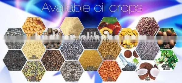 Made in China by Germny technology oil filter making machinery