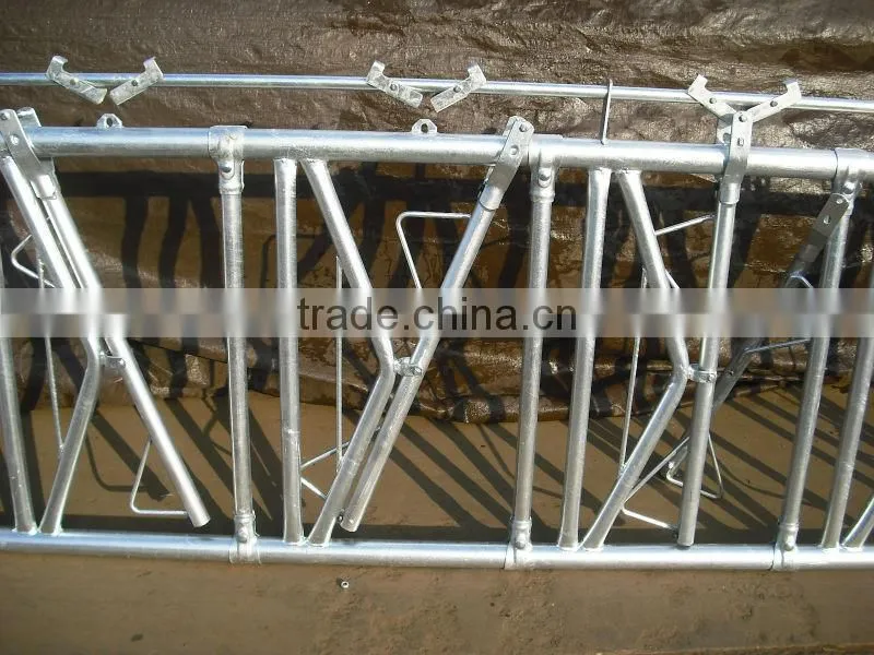 Livestock equipment for Cattle farm equipment