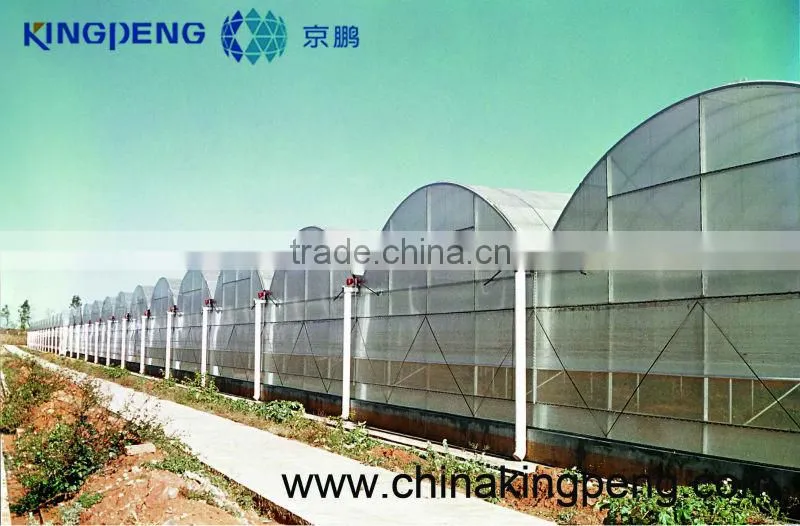 Strawberry plastic film greenhouse