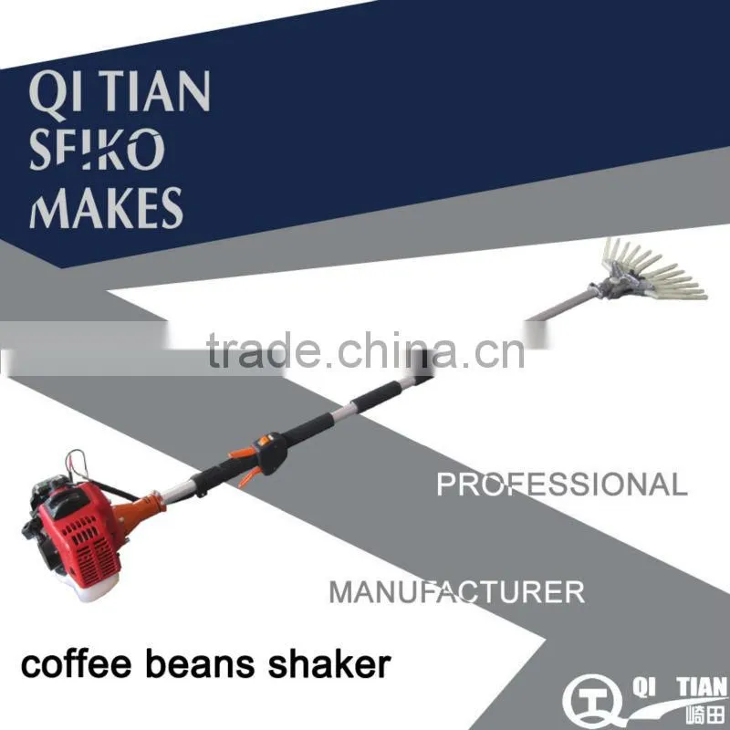 COFFEE BEANS PICKING