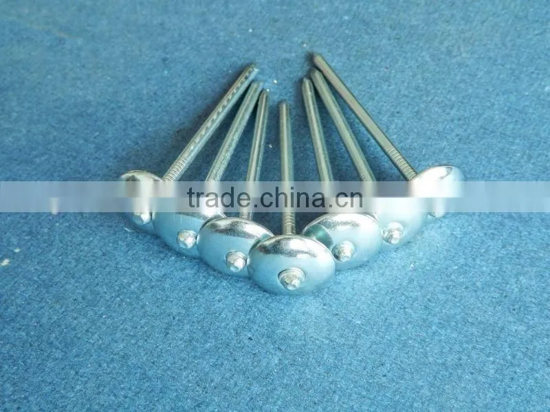 Hot-selling polished common nails / roofing nails / flat head nails