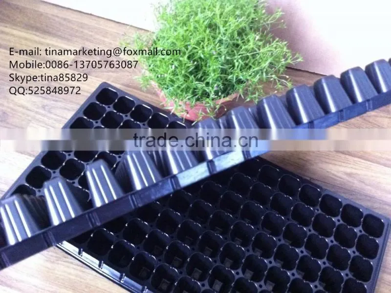 Black PS Material 105 cells Blister Process Plastic Plant Nursery Seed Plug Trays for Propagation