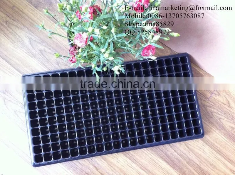 Reusable and Durable Blister PS Plastic 200 Cells Plant Nursery Seed Growing Tray