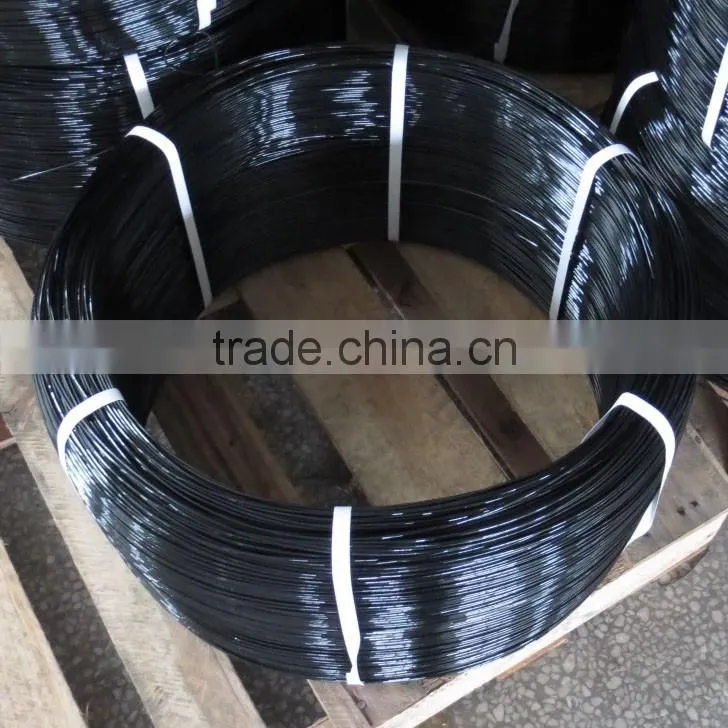 PET monofilament yarn