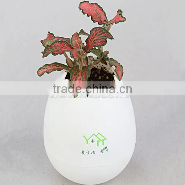 For 2015 promotional gift mini eggshell flower pot plastic injection mould parts