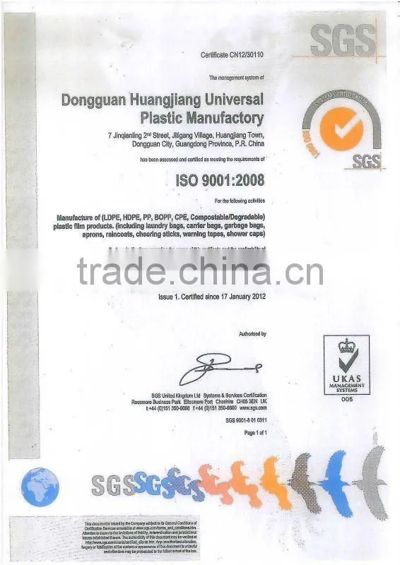 Degradable PE Ice cube bag with printing/Plastic ice freeze bag