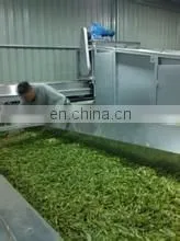 Tea leaf processing machine / tea steamer /tea steaming machine