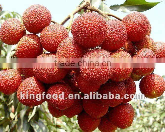 iqf peeled lychee