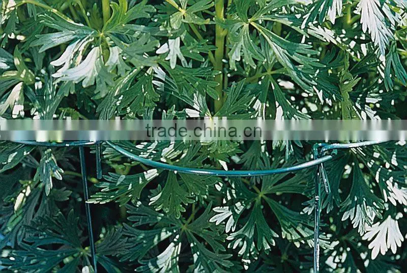Plant Connecting Stakes