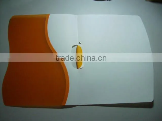 eco-friendly A4 plastic pp knife shape folder report cover file