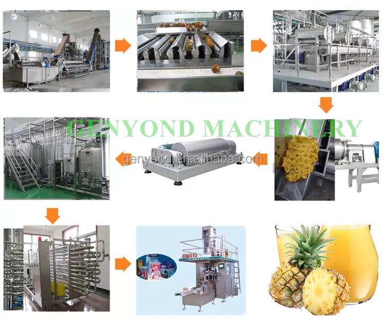 High Efficiency Canned Pineapple Processing Plant / Pineapple in Syrup Processing Line