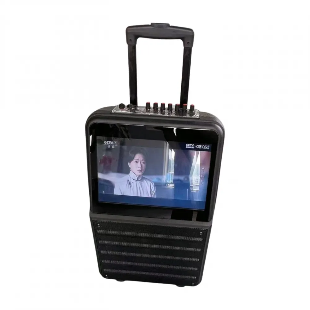 Multi-Functional Trolley Speaker with DTV/IPTV & Karaoke - Promotion