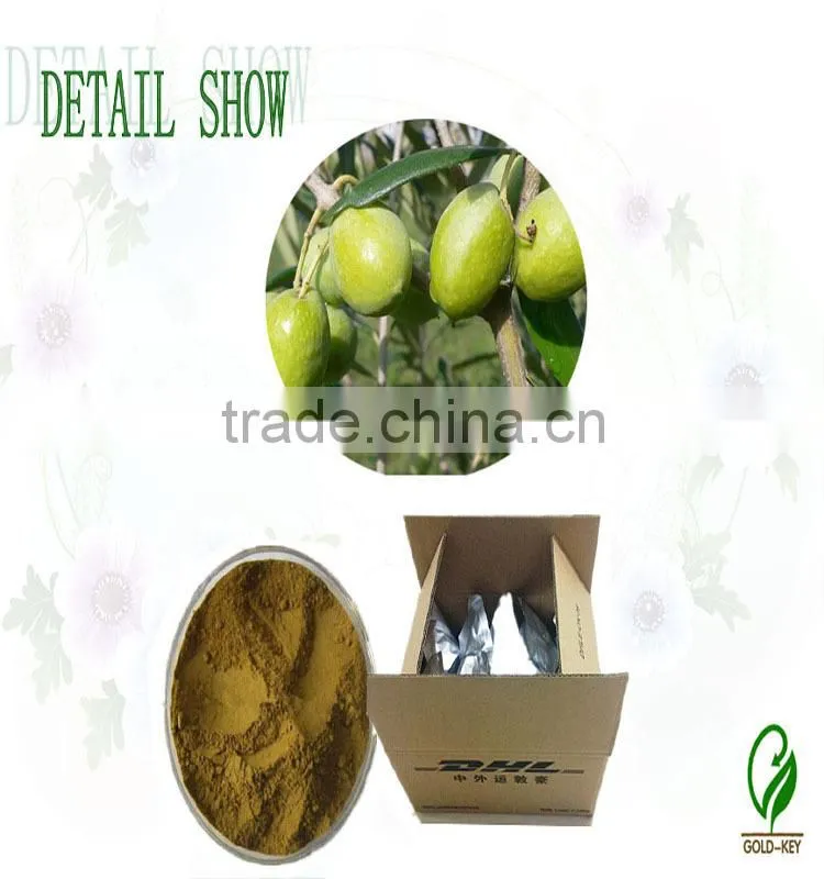 100% Natural Olive Leaf Extract Powder in Bulk