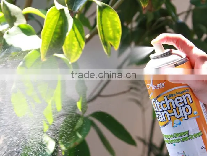 12 OZ Ultra Foaming Kitchen Cleaning
