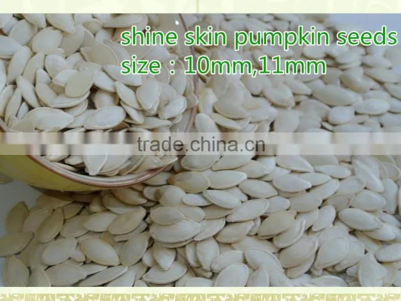 shine skin pumpkin seeds and kernels