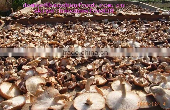 Canned Shiitake mushroom HACCP Approval