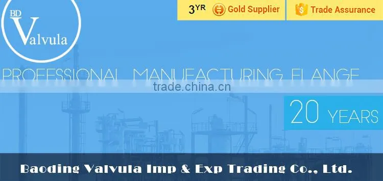High Quality BS Standard PN25 Carbon Steel pipe fittings flange