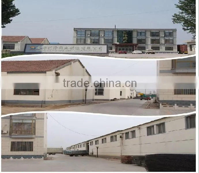 Hot dipped galvanized weight of barbed wire price per roll/barbed wire price