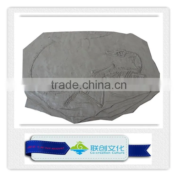 Dinosaur fossil replica for dinosaur museum educational sample