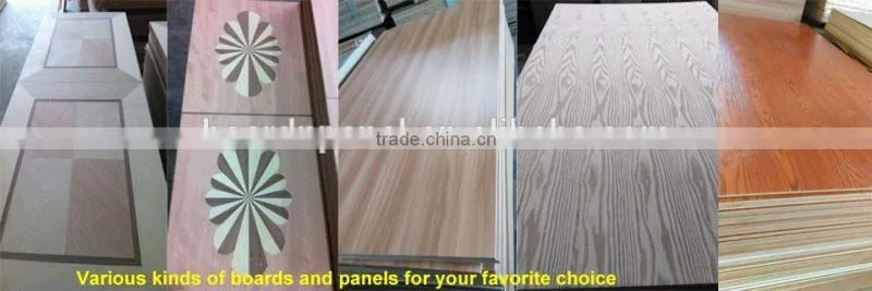 fancy single wood room door design