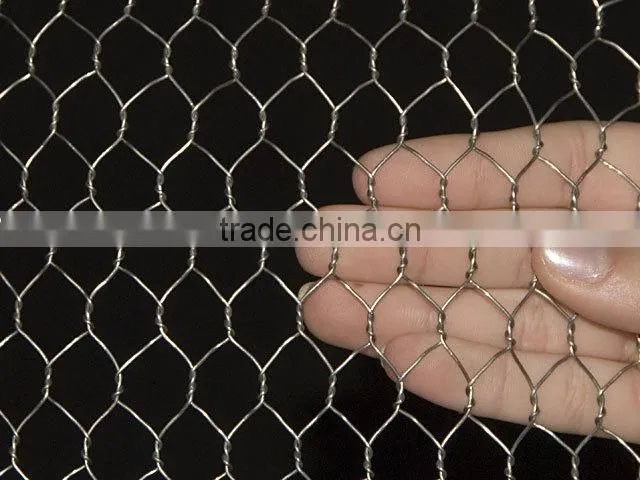 Chicken Wire Mesh/ Dog Cages