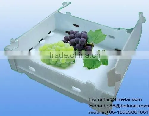 Eco-friendly corflute plastic boxes for fruit and vegetable
