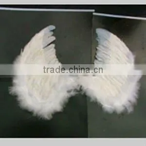 angel feather wings