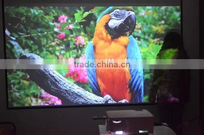 3D New Arrival !!! PTP200 Full HD !!!1080p 3D home theater LED projector