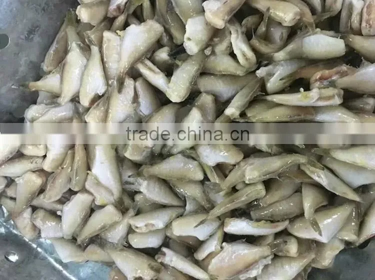 filefish good packing frozen leather jacket fillet fish