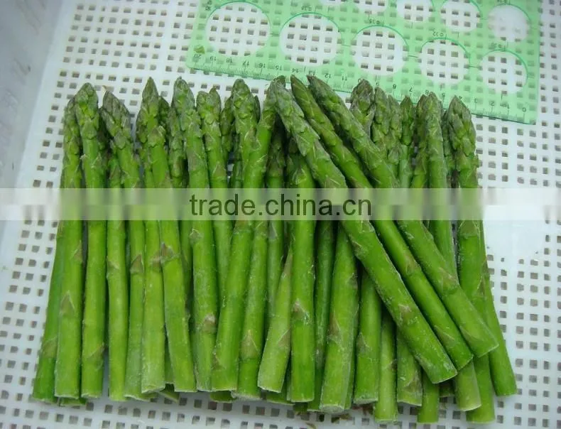 Top quality Frozen green asparagus for 1 kg packed per carton