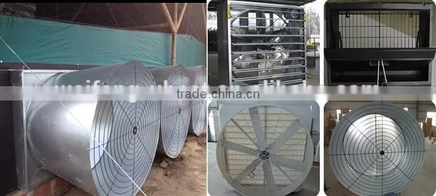 Full automatic africa farm poultry equipment for chickens