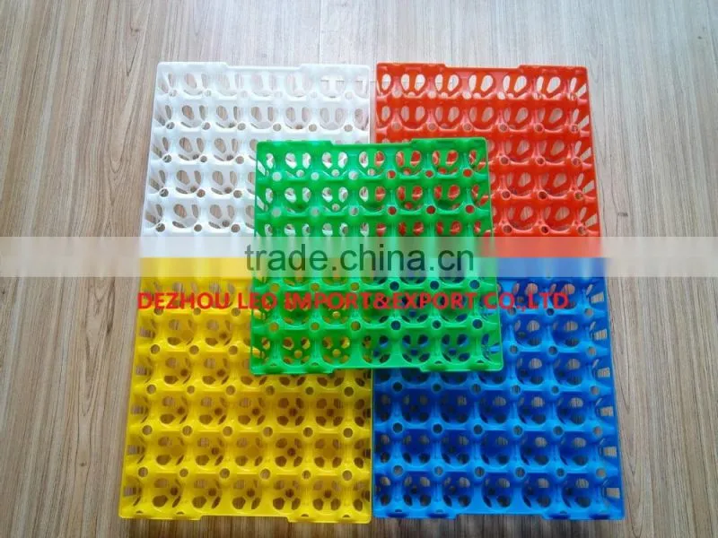 China High quality plastic egg tray for 30 chicken eggs