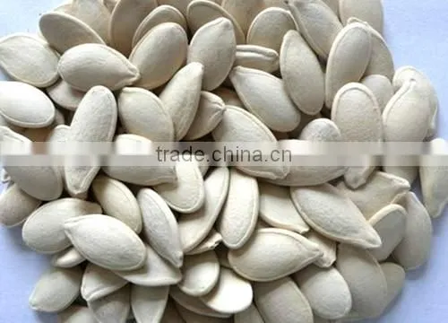 Pumpkin seeds color sorter