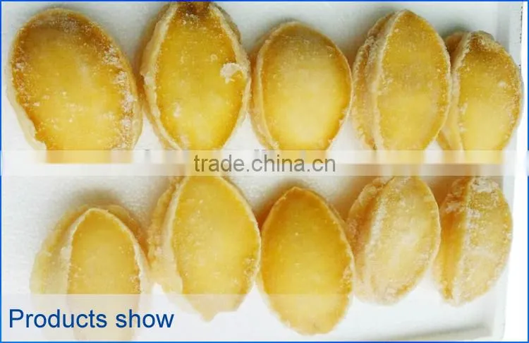 live frozen abalone in shells wholesale
