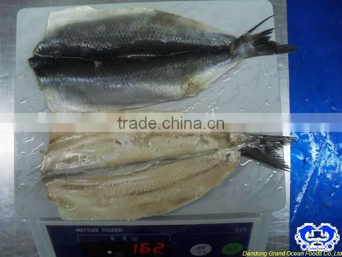 seafood frozen fresh herring fillet