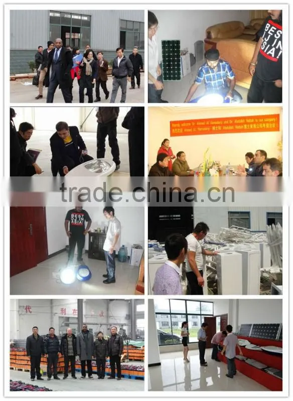 2015 New Products CE IEC ROHS Certificated fibre optic outdoor lights