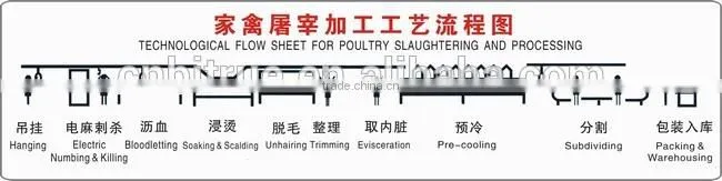 portable automatic chicken slaughter houses for slaughtering